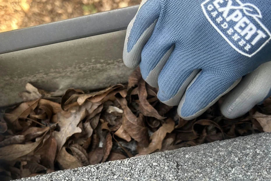 Gutter Cleaning Fountain City